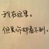 WTT法兰克福赛林诗栋晋级决赛 坦言没想到4比0零封林昀儒